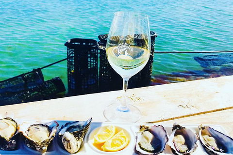 Oyster Farm And Tasting Tour With Hotel Pick-up And Return From Port Lincoln - Accommodation Broome 10