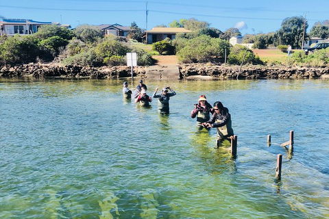 Oyster Farm And Tasting Tour With Hotel Pick-up And Return From Port Lincoln - Accommodation Broome 6