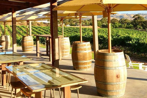 Adelaide Bar Boys Barossa Valley Experience - Accommodation Broome 0