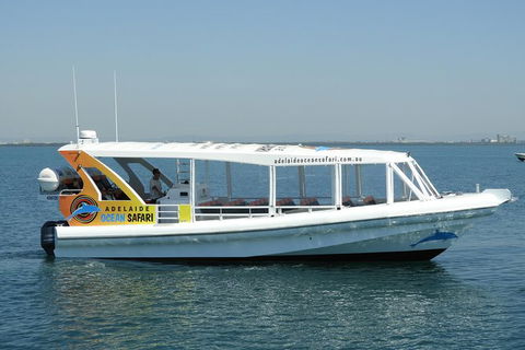 Adelaide Ocean Safari - Wild Dolphin Safari - Accommodation Broome 0