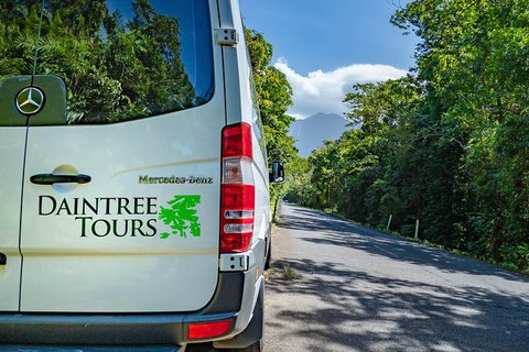 Full Day Daintree Rainforest And Mossman Gorge Tour - Accommodation Broome 4