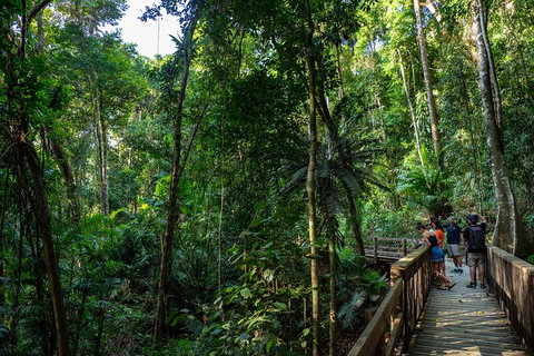 Full Day Daintree Rainforest And Mossman Gorge Tour - Accommodation Broome 10
