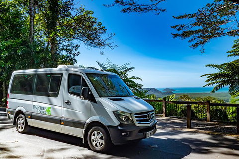 Full Day Daintree Rainforest And Mossman Gorge Tour - Accommodation Broome 6