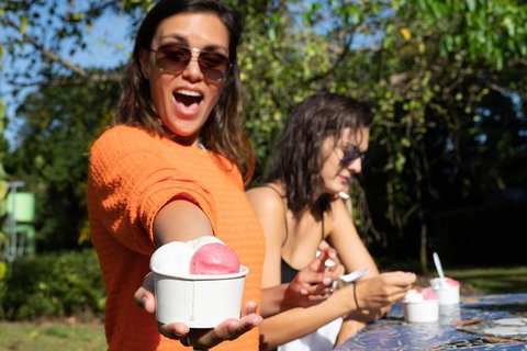 Full Day Daintree Rainforest And Mossman Gorge Tour - Accommodation Broome 9