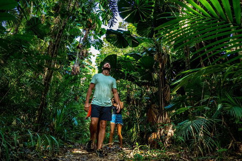 Full Day Daintree Rainforest And Mossman Gorge Tour - Accommodation Broome 12