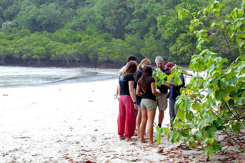 Full Day Daintree Rainforest And Mossman Gorge Tour - Accommodation Broome 7
