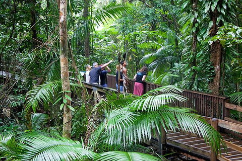 Full Day Daintree Rainforest And Mossman Gorge Tour - Accommodation Broome 2