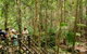 All-Inclusive 2-Day Fraser Island Tour - thumb 10