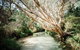 All-Inclusive 2-Day Fraser Island Tour - thumb 11
