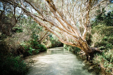 All-Inclusive 2-Day Fraser Island Tour - Accommodation Broome 11