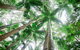 All-Inclusive 2-Day Fraser Island Tour - thumb 8