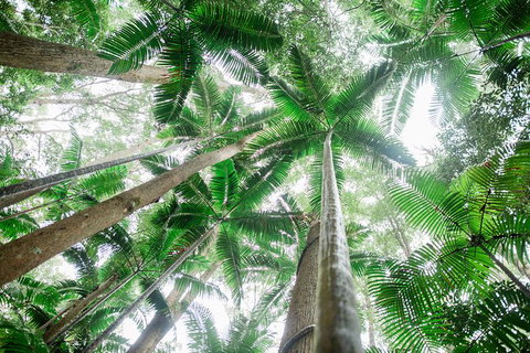 All-Inclusive 2-Day Fraser Island Tour - Accommodation Broome 8