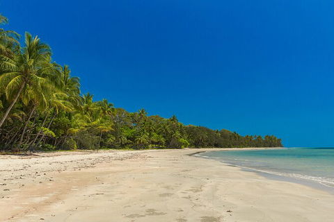 Ocean Safari Great Barrier Reef Experience In Cape Tribulation - Accommodation Broome 3