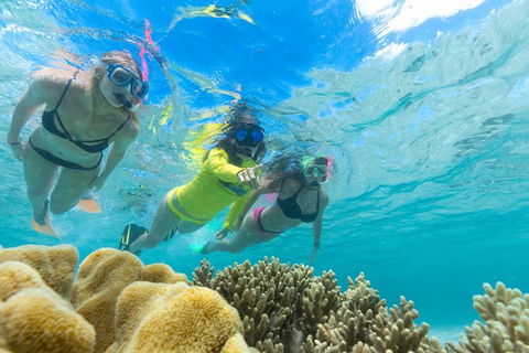 Ocean Safari Great Barrier Reef Experience In Cape Tribulation - Accommodation Broome 4