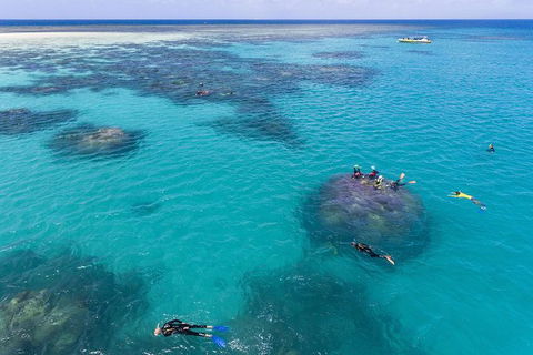 Ocean Safari Great Barrier Reef Experience In Cape Tribulation - Accommodation Broome 12