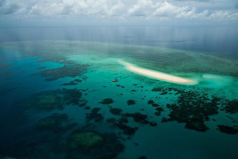 Ocean Safari Great Barrier Reef Experience In Cape Tribulation - Accommodation Broome 16