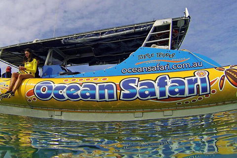 Ocean Safari Great Barrier Reef Experience In Cape Tribulation - Accommodation Broome 8