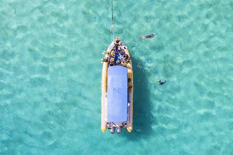 Ocean Safari Great Barrier Reef Experience In Cape Tribulation - Accommodation Broome 17