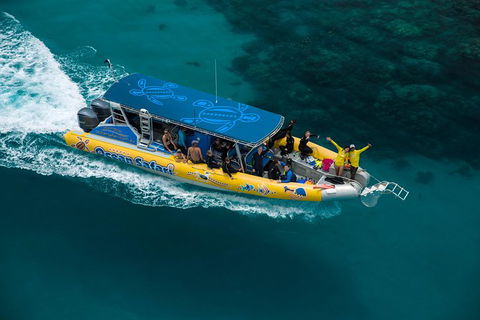 Ocean Safari Great Barrier Reef Experience In Cape Tribulation - Accommodation Broome 9