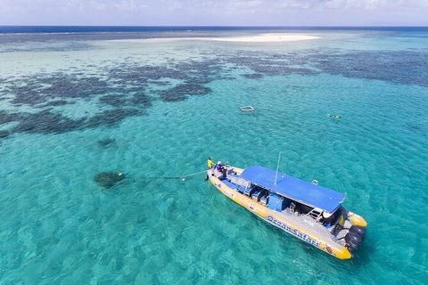 Ocean Safari Great Barrier Reef Experience In Cape Tribulation - Accommodation Broome 11