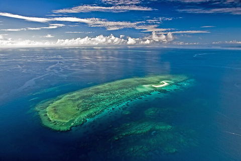 Ocean Safari Great Barrier Reef Experience In Cape Tribulation - Accommodation Broome 15