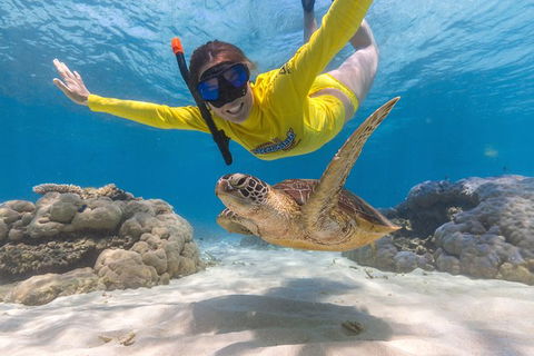 Ocean Safari Great Barrier Reef Experience In Cape Tribulation - Accommodation Broome 2