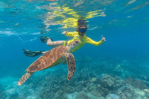 Ocean Safari Great Barrier Reef Experience In Cape Tribulation - Accommodation Broome 14