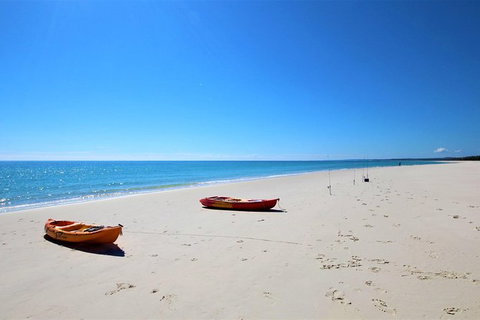Fraser Island West Coast BBQ Lunch Cruise From Hervey Bay Including Kayaking And Swimming - Accommodation Broome 8