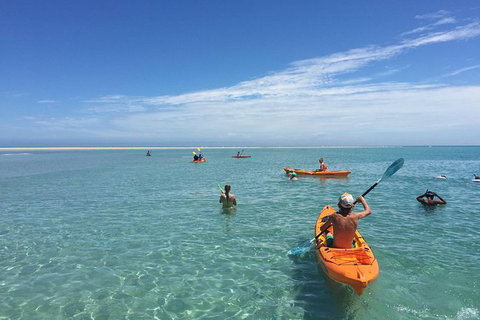 Fraser Island West Coast BBQ Lunch Cruise From Hervey Bay Including Kayaking And Swimming - Accommodation Broome 9