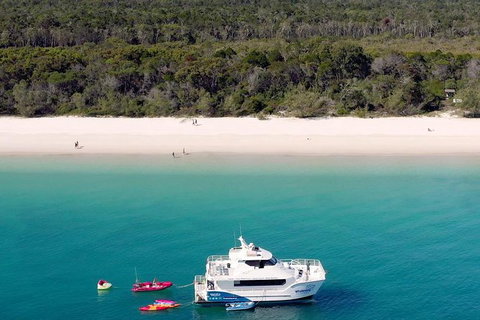 Fraser Island West Coast BBQ Lunch Cruise From Hervey Bay Including Kayaking And Swimming - Accommodation Broome 3