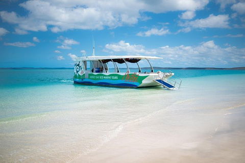 Great Sandy Marine Park Turtle Discovery And Cultural Eco Tour - Accommodation Broome 5