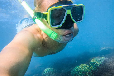 Great Sandy Marine Park Turtle Discovery And Cultural Eco Tour - Accommodation Broome 2