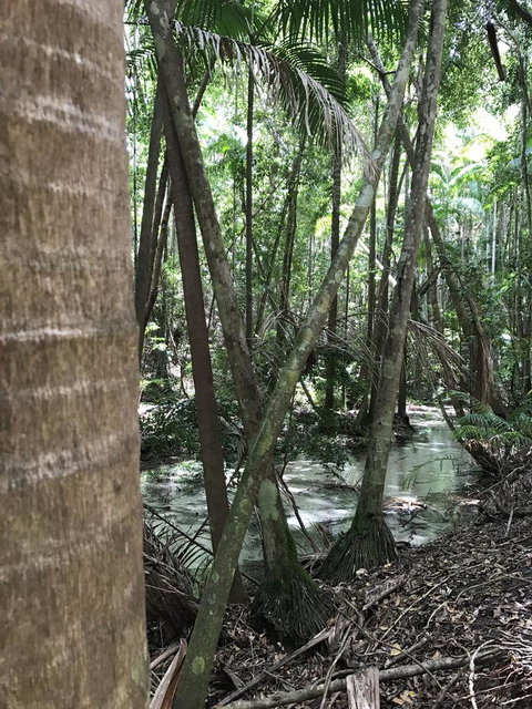 5-Day Fraser Island And Great Barrier Reef Tour - Accommodation Broome 4