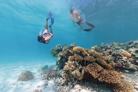 5-Day Fraser Island And Great Barrier Reef Tour - Accommodation Broome 1