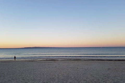 Noosa And Sunshine Coast Hinterland Day Trip From Brisbane - Accommodation Broome 5
