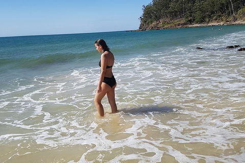 Noosa And Sunshine Coast Hinterland Day Trip From Brisbane - Accommodation Broome 7