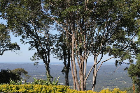 Noosa And Sunshine Coast Hinterland Day Trip From Brisbane - Accommodation Broome 10