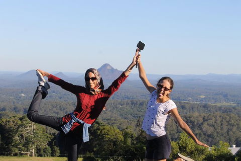 Noosa And Sunshine Coast Hinterland Day Trip From Brisbane - Accommodation Broome 6