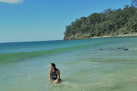 Noosa And Sunshine Coast Hinterland Day Trip From Brisbane - Accommodation Broome 4