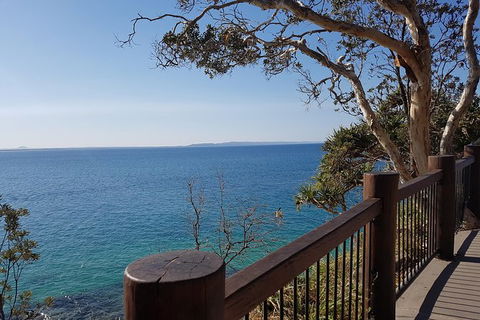 Noosa And Sunshine Coast Hinterland Day Trip From Brisbane - Accommodation Broome 9