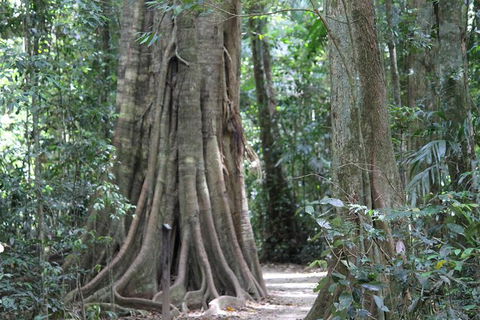 Noosa And Sunshine Coast Hinterland Day Trip From Brisbane - Accommodation Broome 8