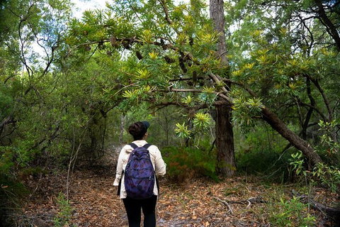 Pack-free Camping: Lake McKenzie Central Hike - 2 Days - Accommodation Broome 1