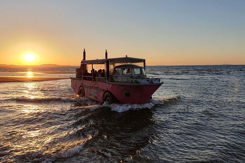 Town Of 1770 Afternoon Cruise - Accommodation Broome 7