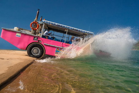 Town Of 1770 Afternoon Cruise - Accommodation Broome 5