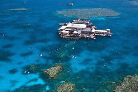 Quicksilver Outer Great Barrier Reef Snorkel Cruise From Palm Cove - Accommodation Broome 7