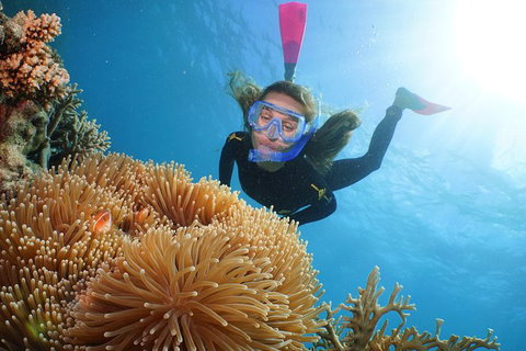 Quicksilver Outer Great Barrier Reef Snorkel Cruise From Palm Cove - Accommodation Broome 12