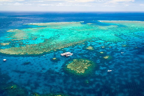 Quicksilver Outer Great Barrier Reef Snorkel Cruise From Palm Cove - Accommodation Broome 9