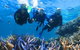Quicksilver Outer Great Barrier Reef Snorkel Cruise From Palm Cove - thumb 11