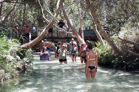 Overnight Fraser Island Camping Safari From Brisbane - Accommodation Broome 3