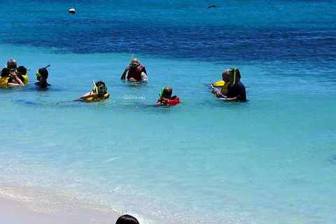 Ocean Spirit Michaelmas Cay Dive And Snorkel Cruise From Palm Cove - Accommodation Broome 1